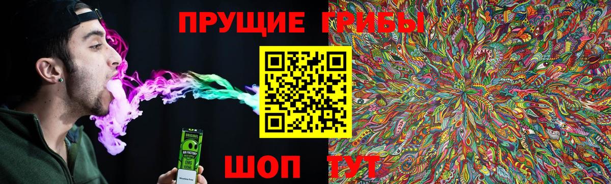 Галлюциногенные грибы прущие грибы  купить наркотик  Слободской  Вход с VPN 